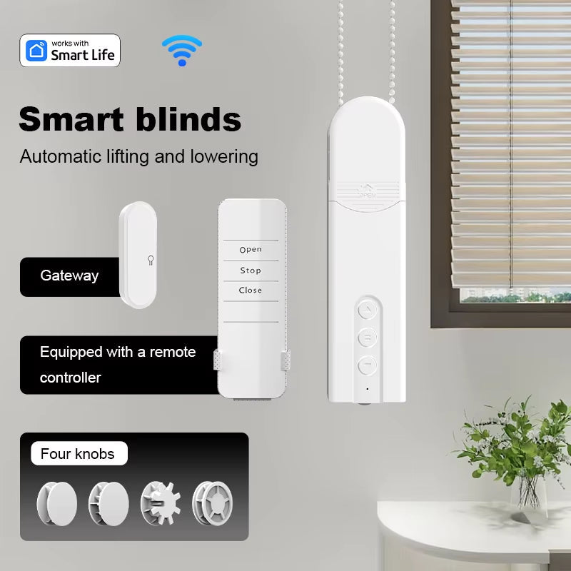 Wifi Electric Blind Roller Motor Silent Motor with Remote APP Voice Control with Alexa Google Home Automation Window Treatments