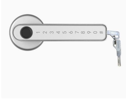 Graffiti Smart Fingerprint & Password Door Lock – Spherical Wooden Handle