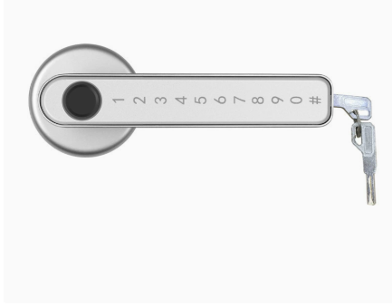 Graffiti Smart Fingerprint & Password Door Lock – Spherical Wooden Handle