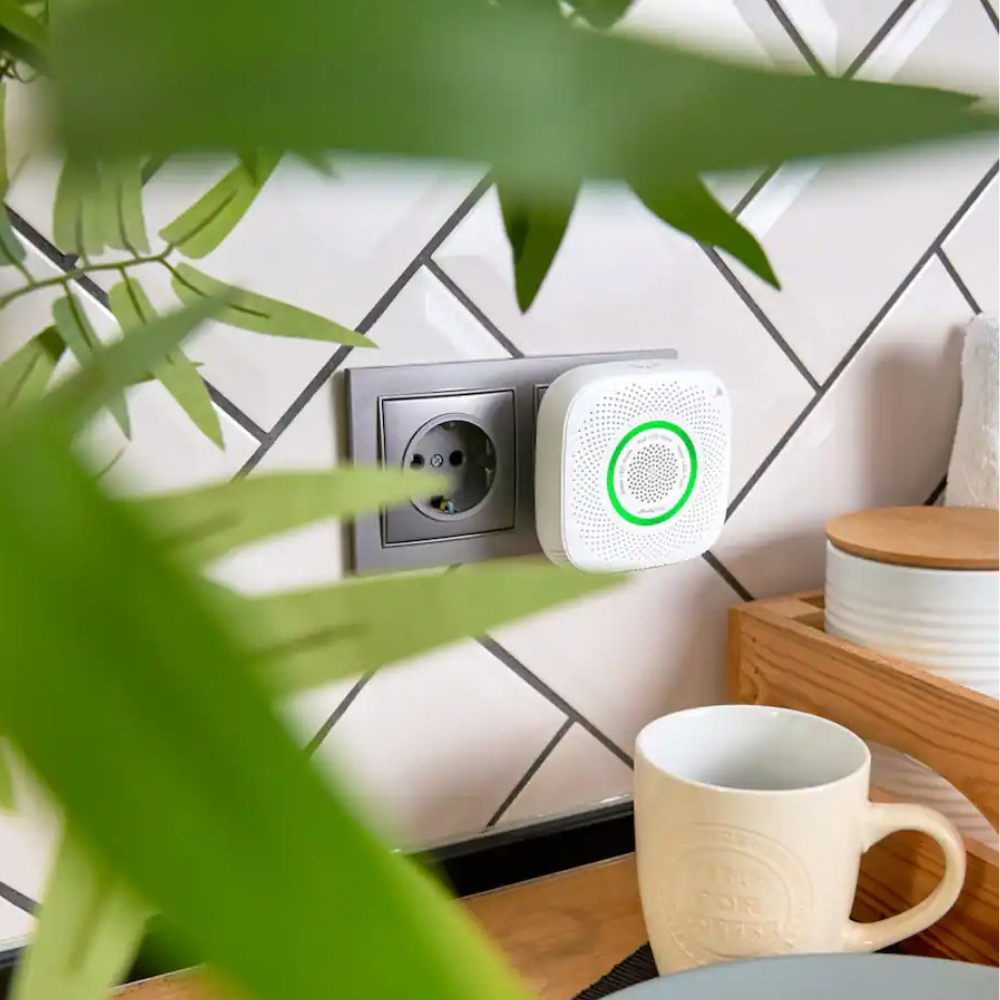 Gas Detection Sensor