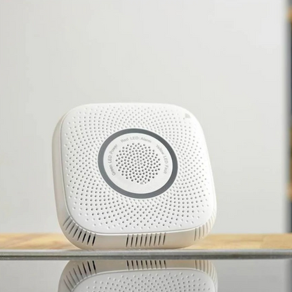 Gas Detection Sensor